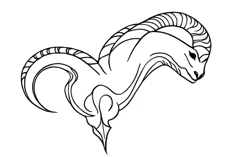 Capricorn