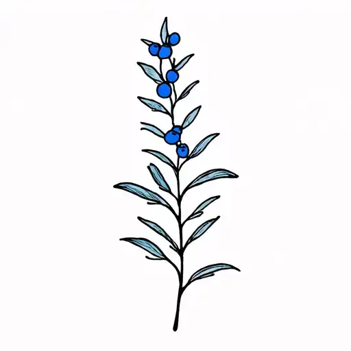 Juniper Sprig Simple Black With Only Blue On The Berries