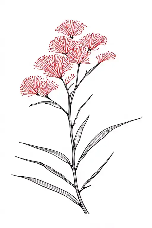Pohutukawa