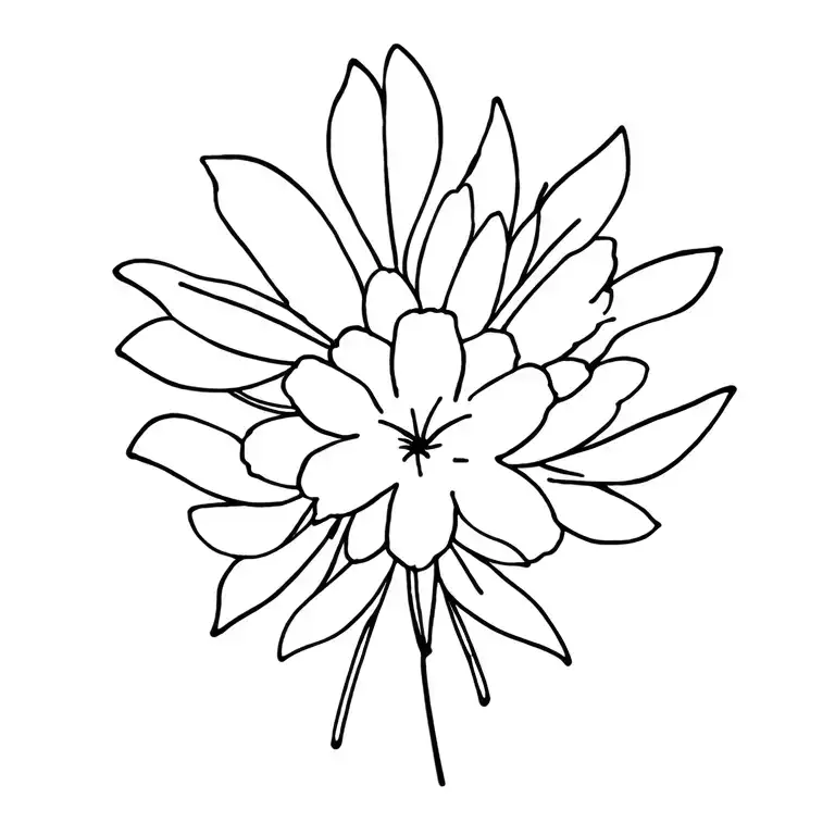 Leo Star Sign And 8Th Of August Birth Flower