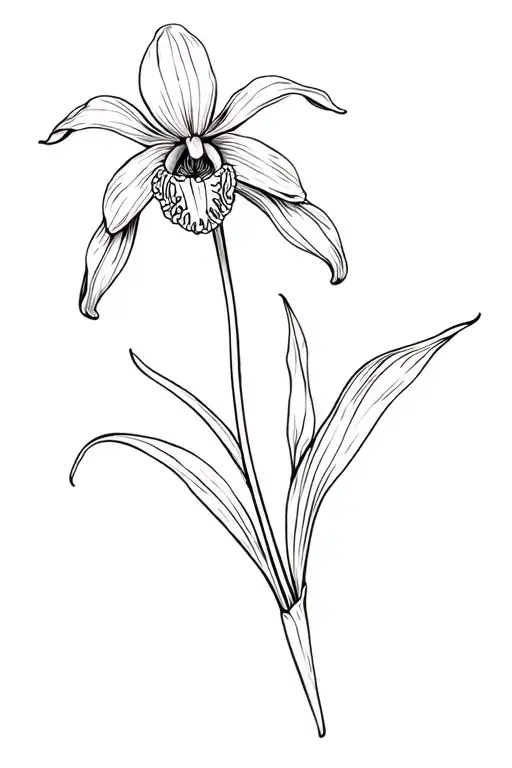 Ladyslipper Orchid Flowers