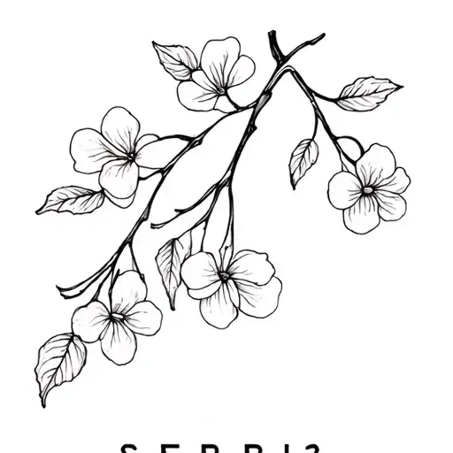 Serpi3te With Cherry Flowers