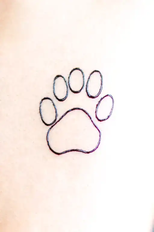 Dog Paw Print