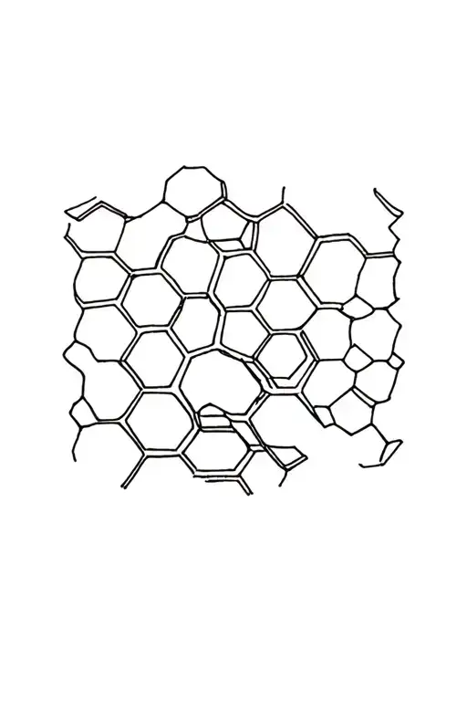 Honey Comb Filled With Bands