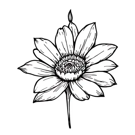 June And September Birth Flower