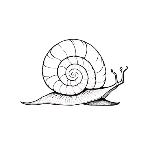 Snail Sitting Alone