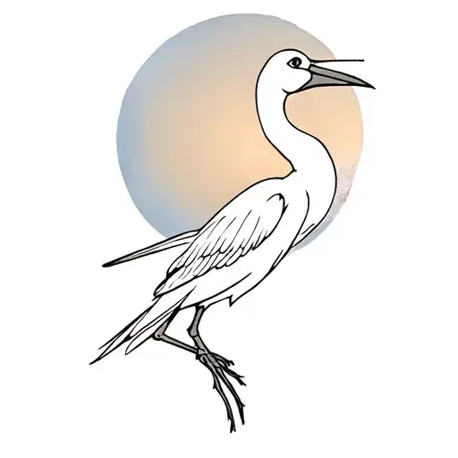 Stork With A Moon In The Background