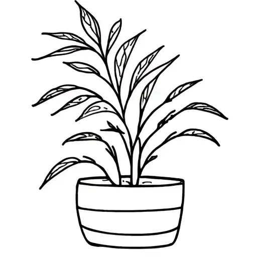 Potted House Plant