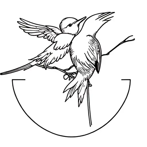 Saint Christopher Robin Bird