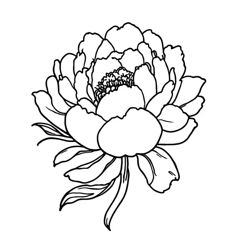 Peony Flower
