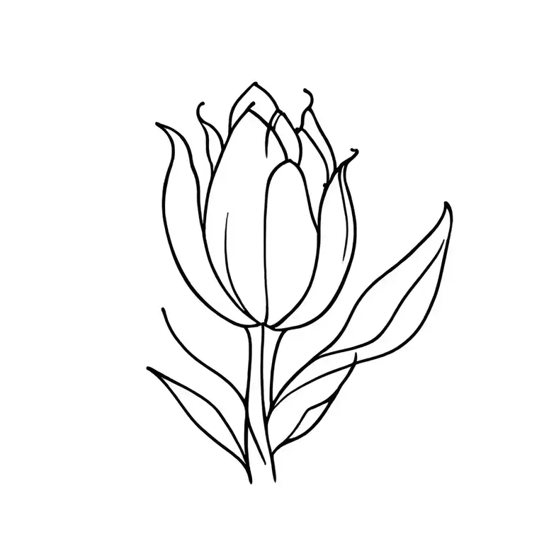 Tulip
