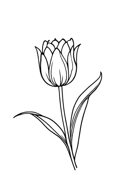 Tulip