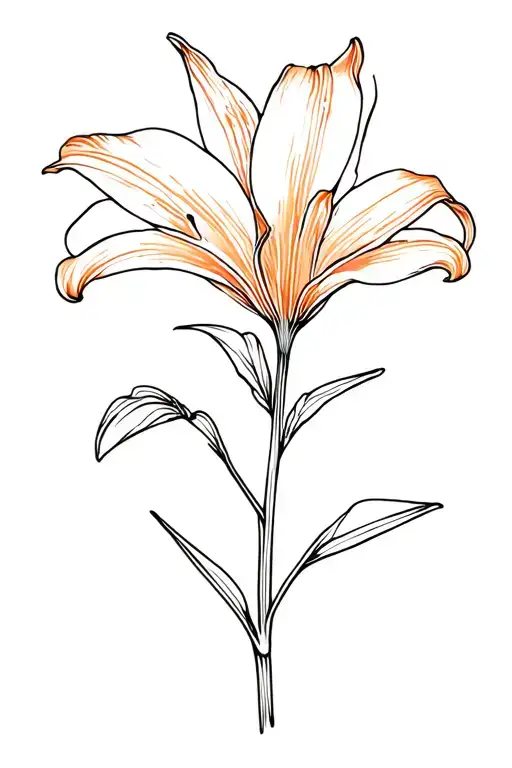 Lilium And Saffron Flower