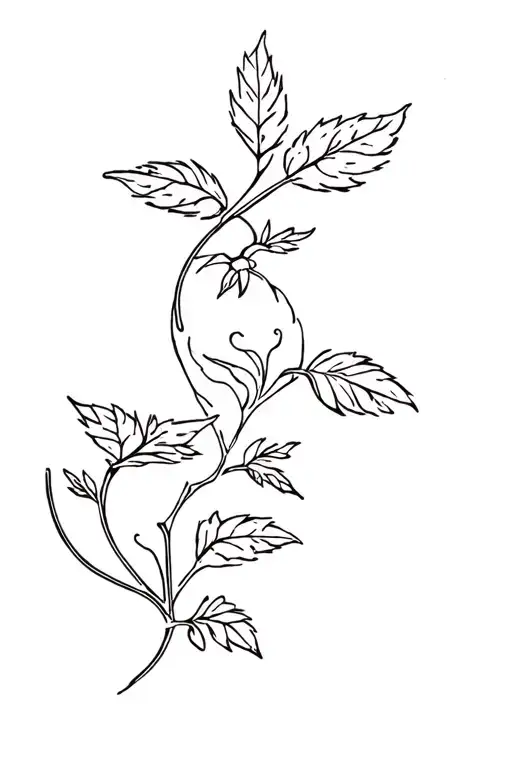 Strawberry Vine Wrapping