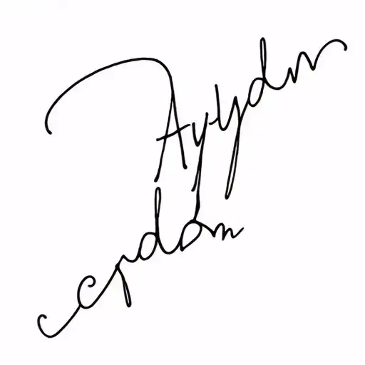 The Name Aydyn In Cursive Font W A Corvette Spine