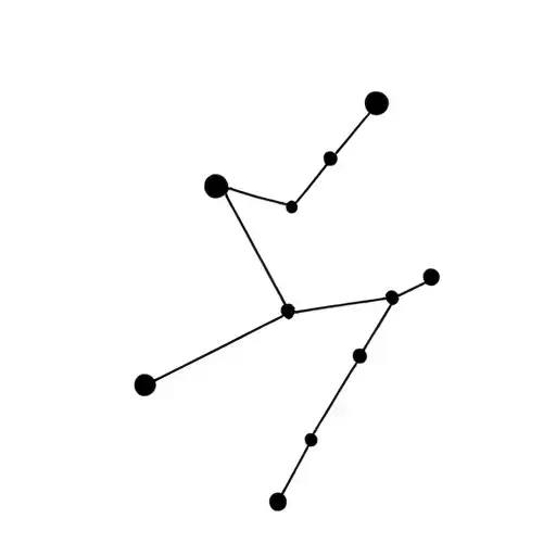 Capricorn Constellation