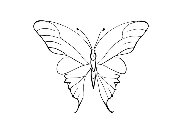 Butterfly