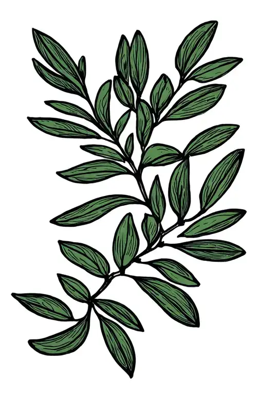 Olive Branch