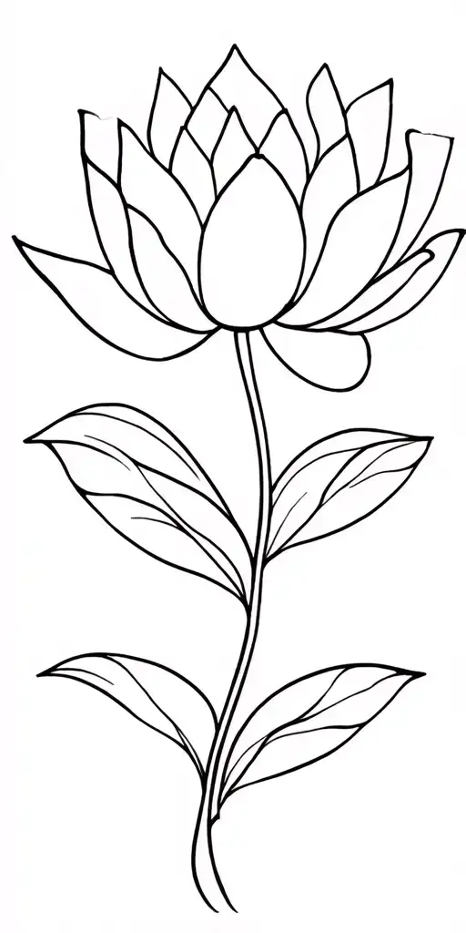 Flor De Lotus