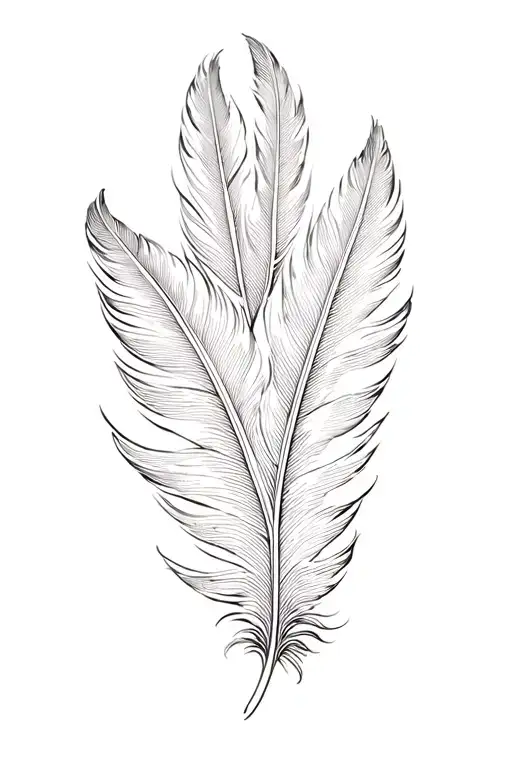 Poultry Feathers On The Back