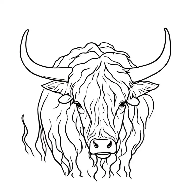 Highland Cow
