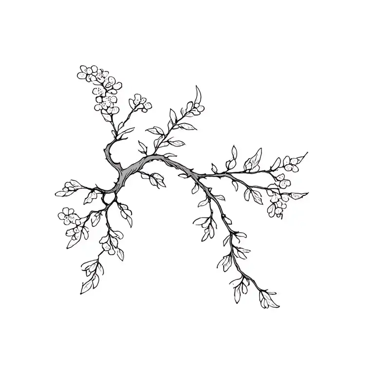 Babies Breath And Willow Tree