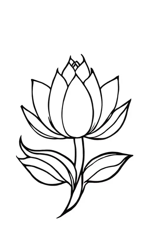 Lotus Flower