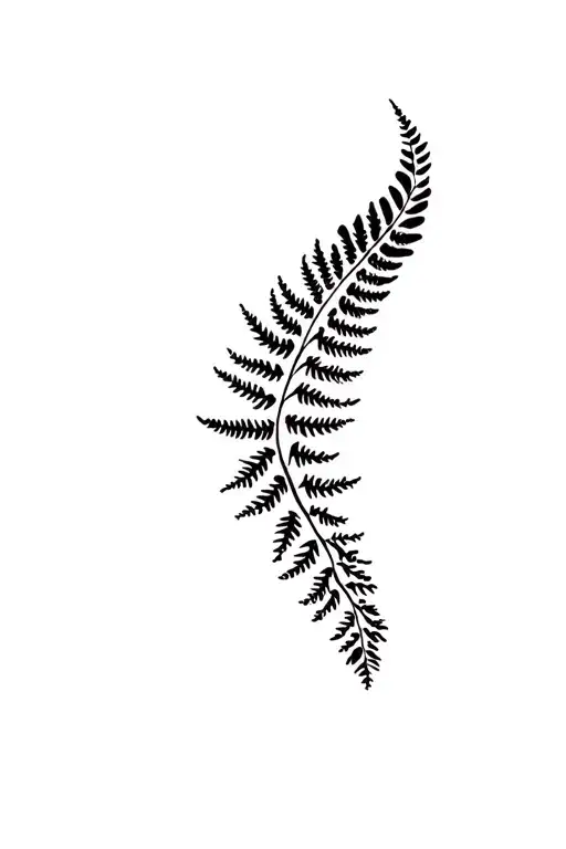 Maori Fern