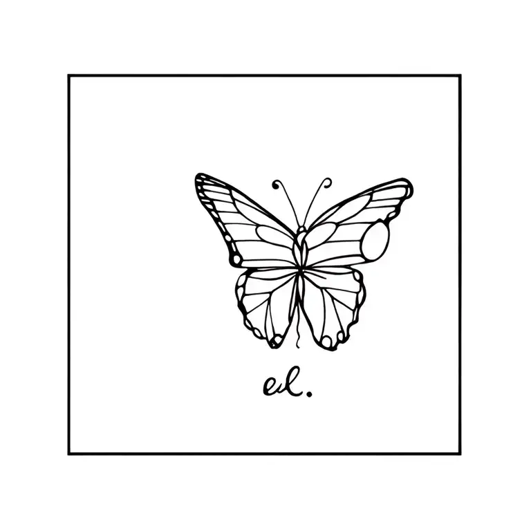 Words And Butterfly Flying