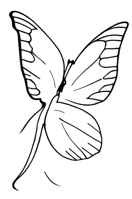 Papillon