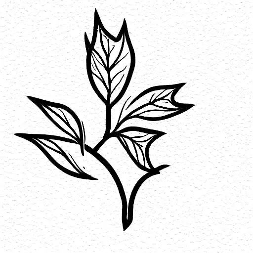 Ivy Plant With The Date 16-04-2023