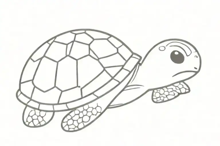 Cute Baby Turtle