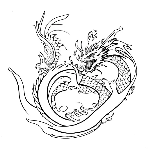 Phonix And Dragon