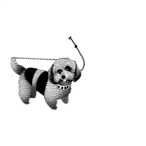 A Dog On A Leash