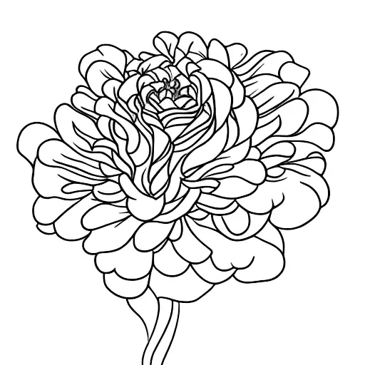 Rose Chrysanthemum Stem Cursive