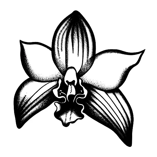 Orchid