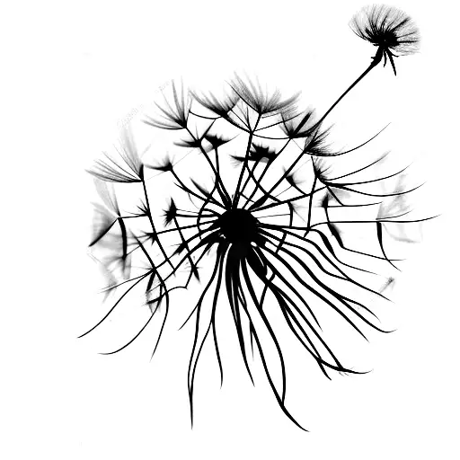 Dandelion