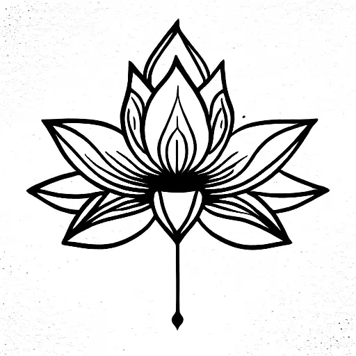 Lotus Flower