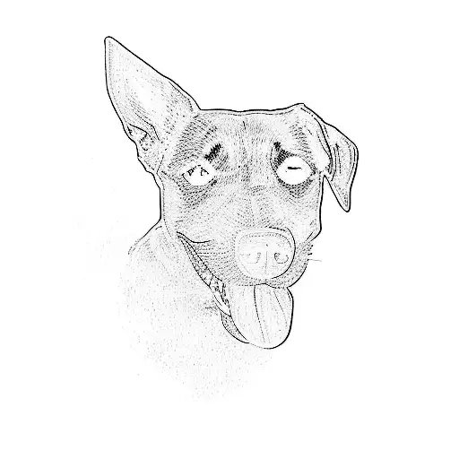 Same Dog But Just The Outline