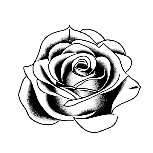 Rose With The Name Emma In The Stem