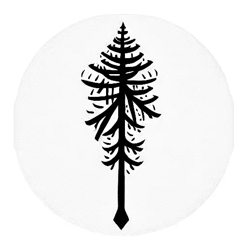 Plane With Lebanese Cedar Tree