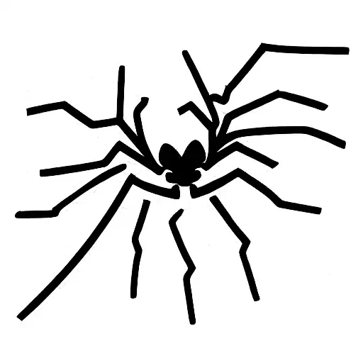 Line Of Vines Leading To A Spider