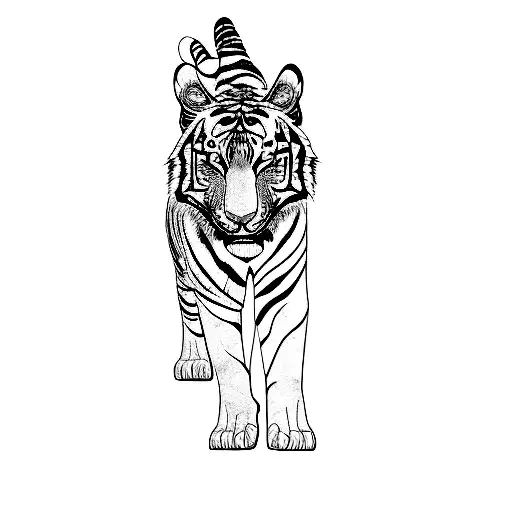 A Tiger