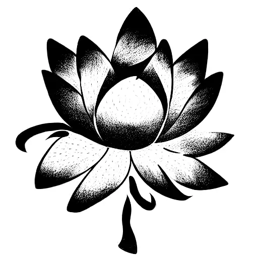 Lotus Flower
