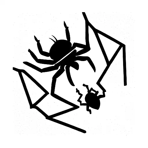Spider