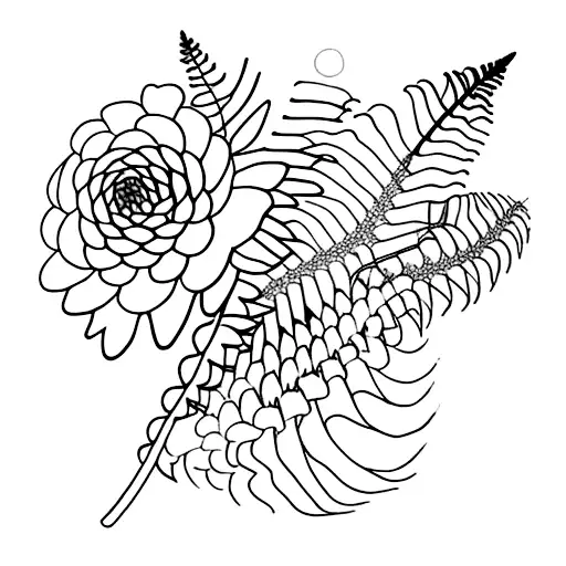 Fern Leaf And Chrysanthemum