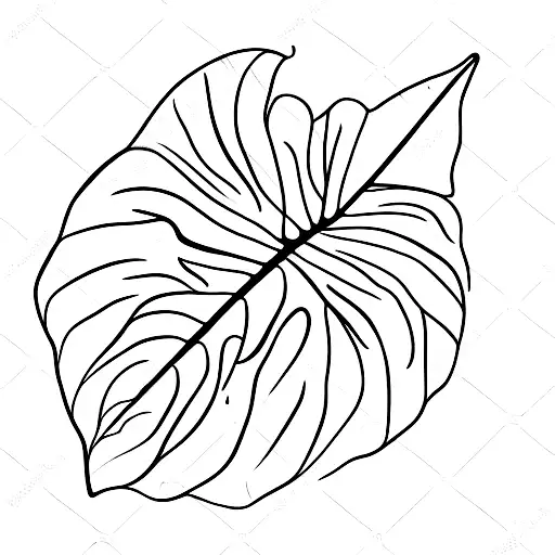 Monstera Leaf