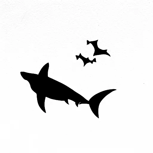 Shark
