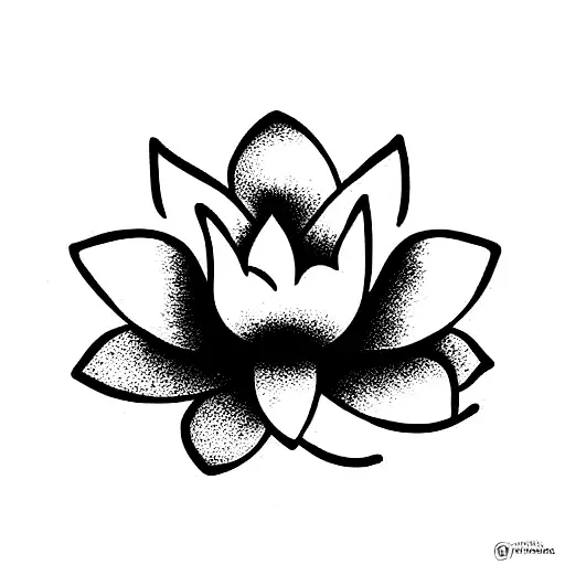 Lotus Flower