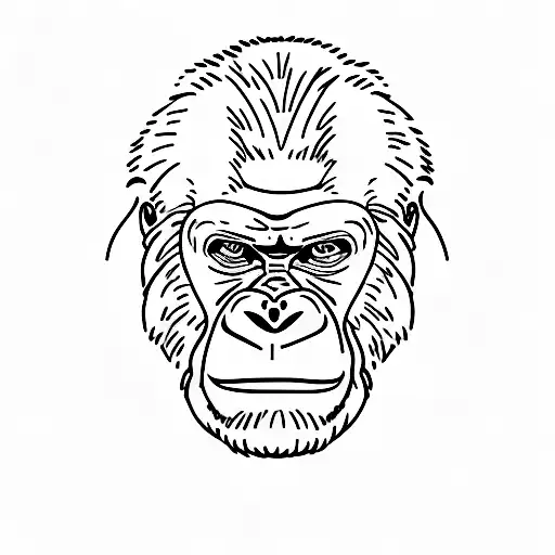 Gorilla